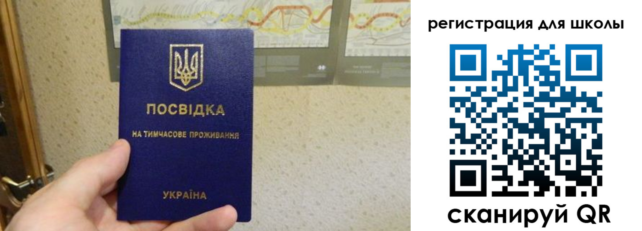временная прописка в Димитровграде